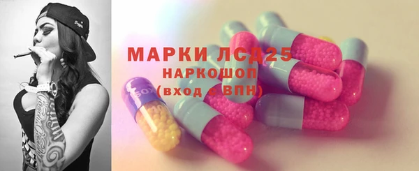 стафф Алексин