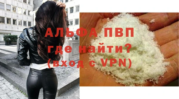 стафф Алексин