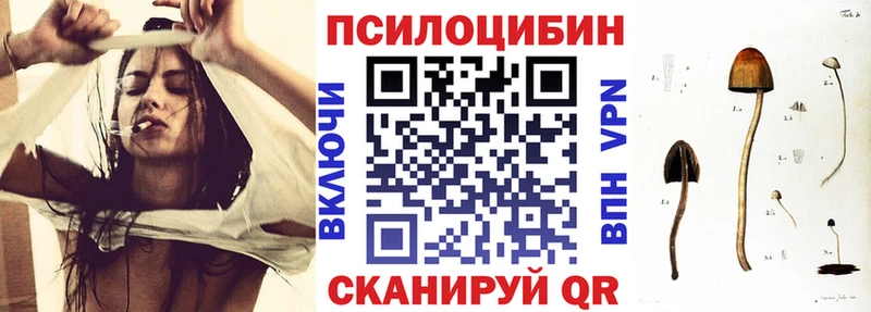 где найти наркотики  OMG онион  Псилоцибиновые грибы Cubensis  Борзя 